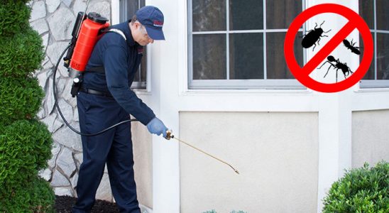 Lalapaşa Karınca İlaçlama böcek ilaçlama ve haşere kontrolü — ilaclama-tr.com
